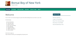 Desktop Screenshot of partner.bonsaiboy.com