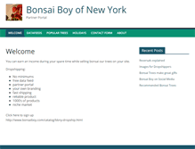 Tablet Screenshot of partner.bonsaiboy.com